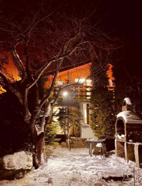 Cabana Busteni Buşteni